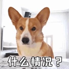DƬ